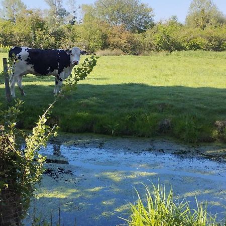 Charmante Maison De Campagne, Avec Jardin, Vue Riviere, 15 Min Cabourg Basseneville 外观 照片
