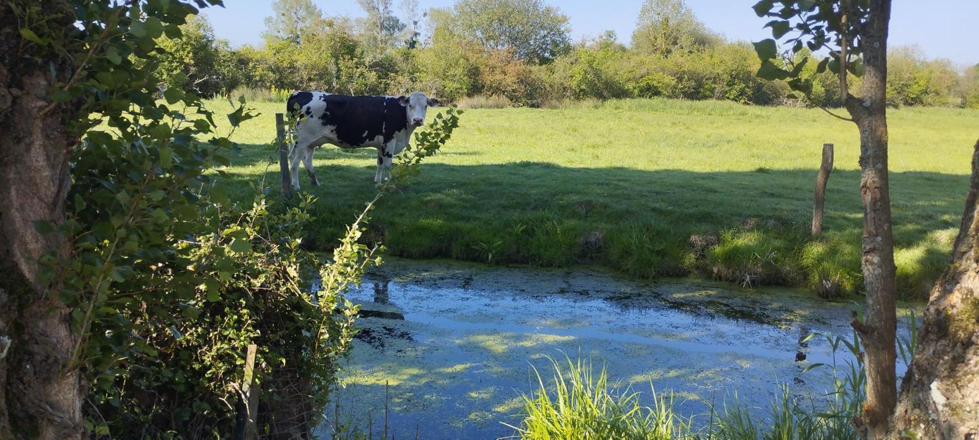 Charmante Maison De Campagne, Avec Jardin, Vue Riviere, 15 Min Cabourg Basseneville 外观 照片